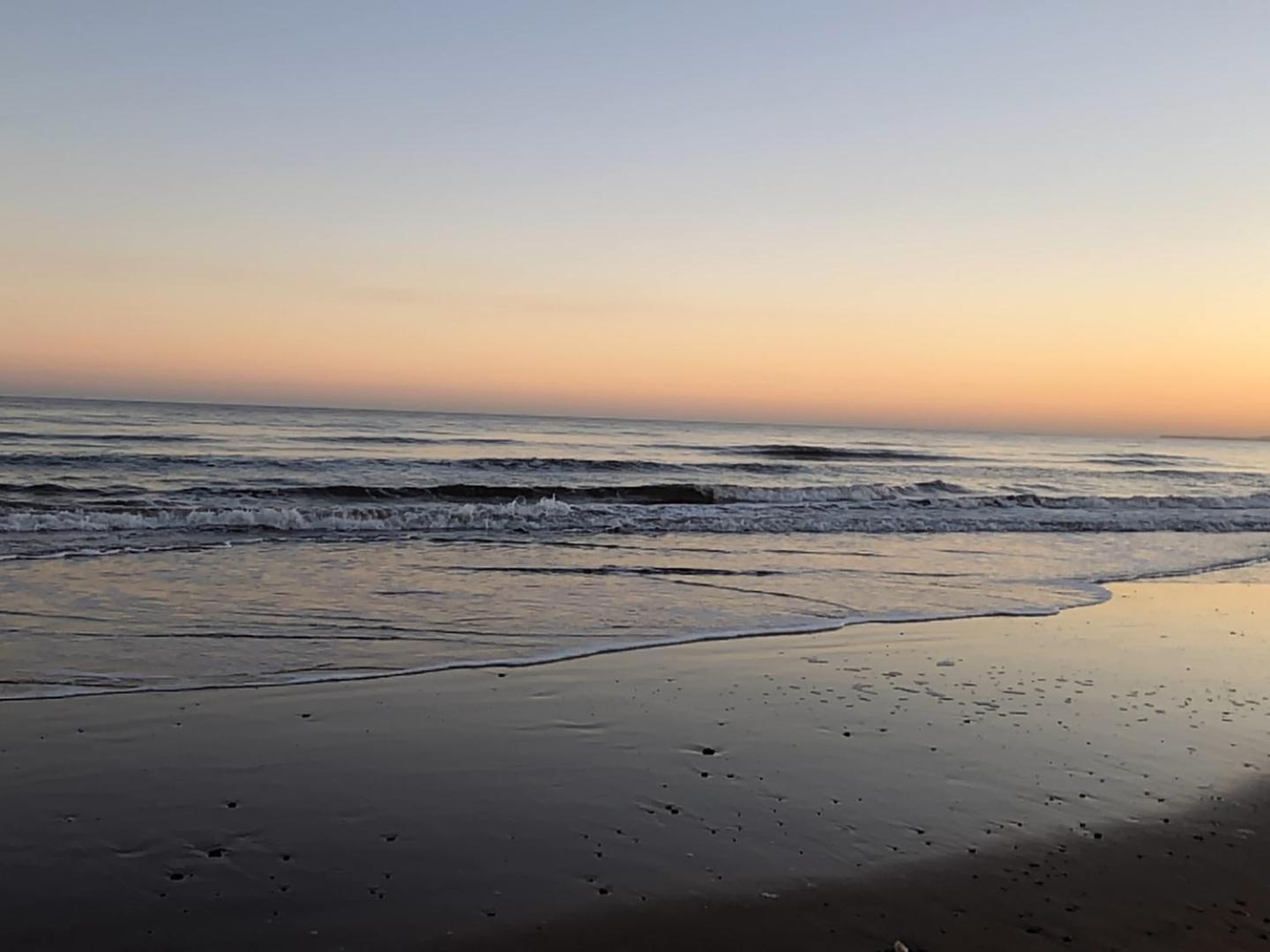 Sunny View Apartment Dawlish Bagian luar foto